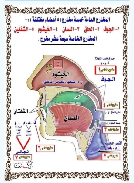 Mastering the sounds of Arabic letters.اتقان أصوات الحروف العربية Arap harflerinin seslerini doğru telaffuz etme ustalığı
